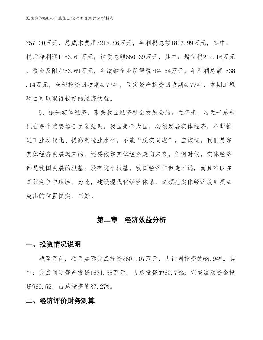 绦纶工业丝项目经营分析报告_第5页