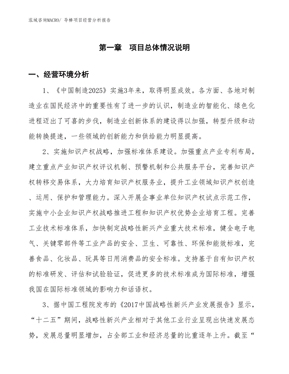 导棒项目经营分析报告_第1页