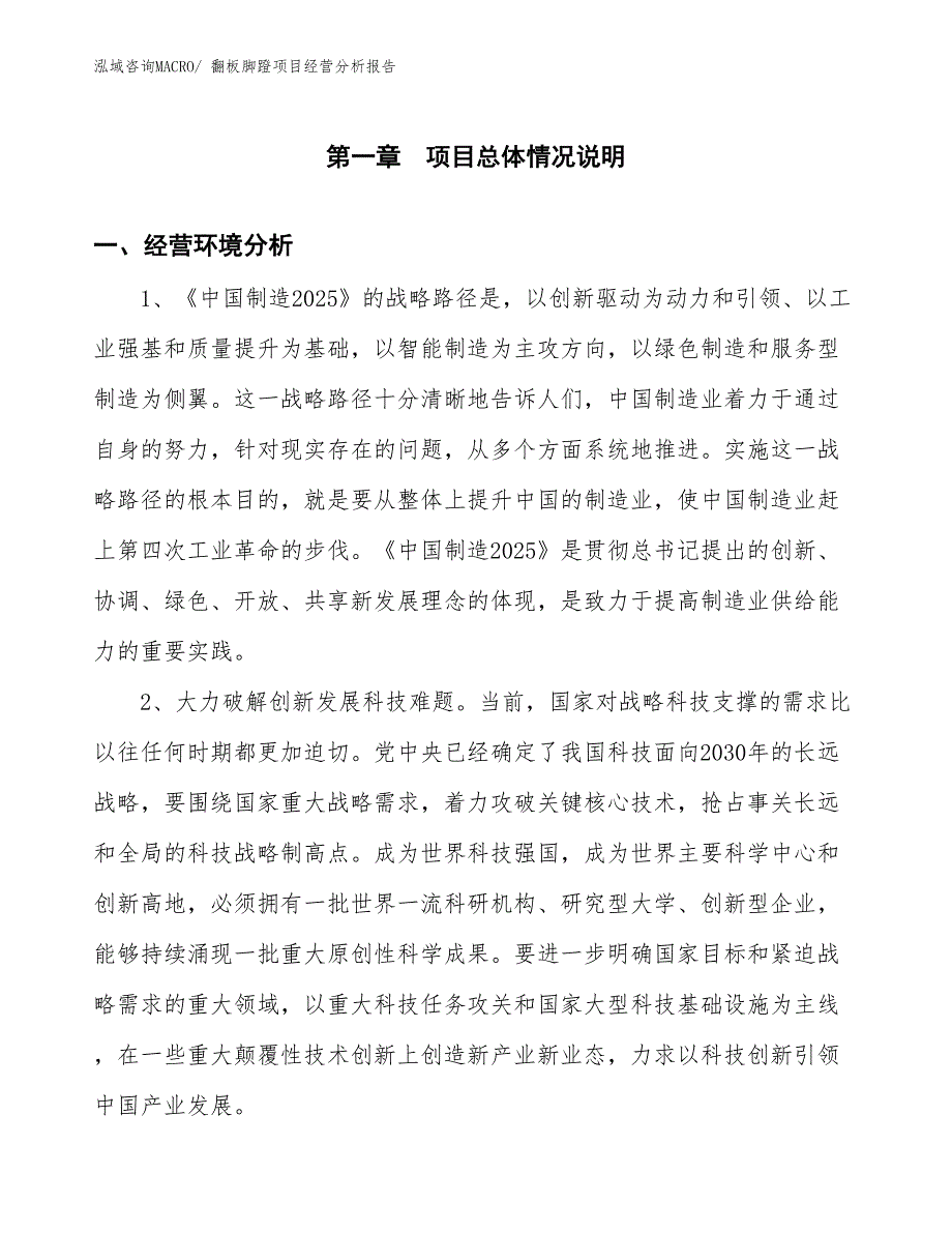 翻板脚蹬项目经营分析报告_第1页