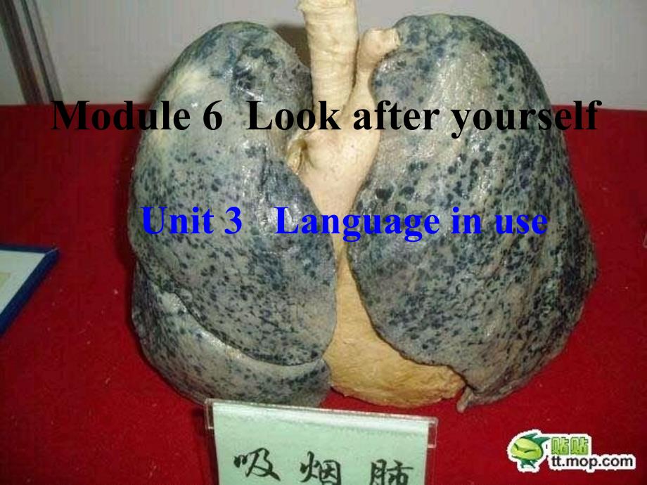 Unit 3 Language in use 课件2（外研版九年级下）.ppt_第1页