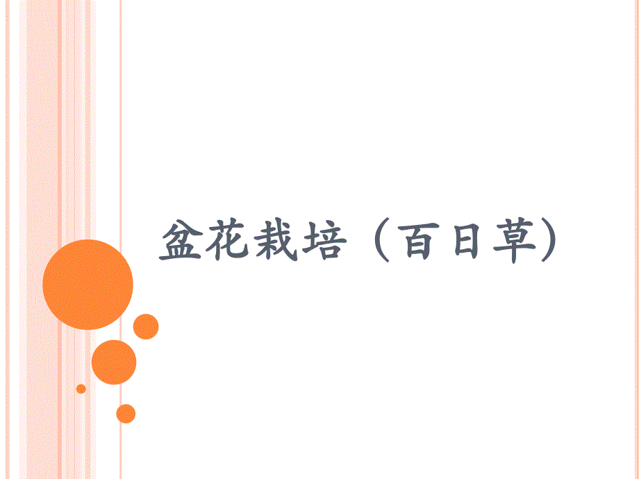 盆花栽培(百日草).ppt_第1页