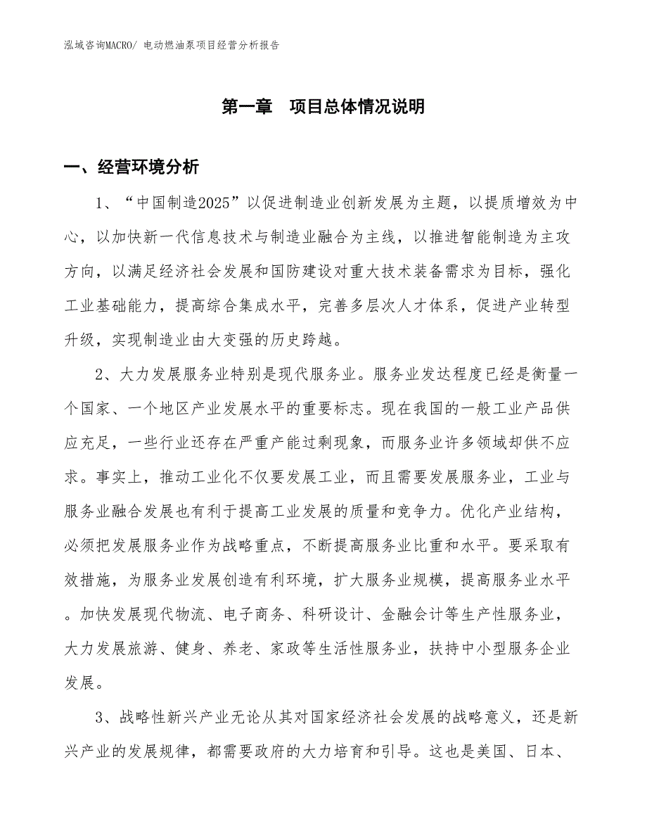 电动燃油泵项目经营分析报告_第1页