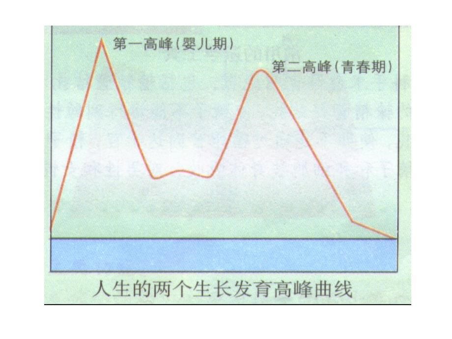 七年级生物下册_人教版_第一章_第三节_青春期_第5页