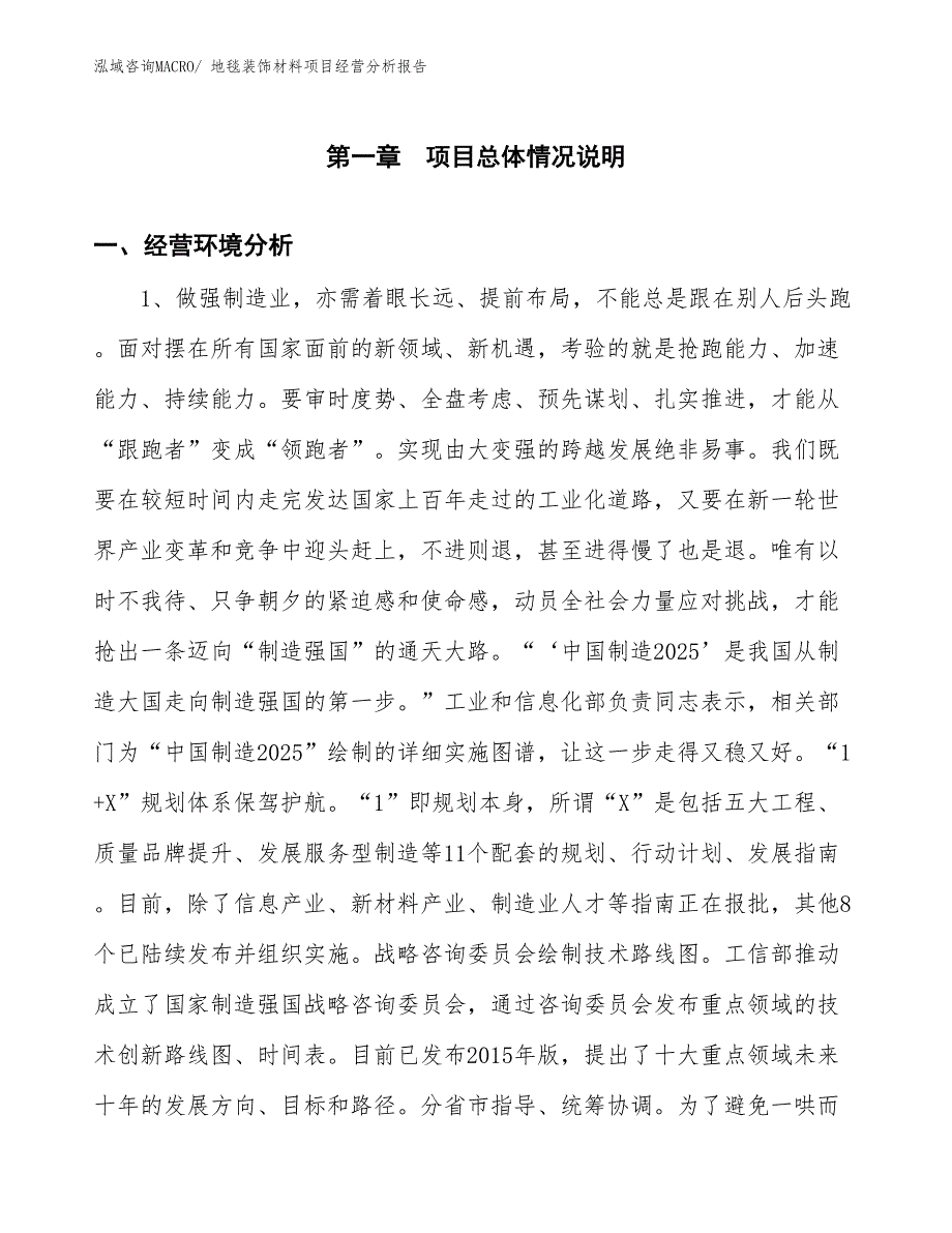 地毯装饰材料项目经营分析报告_第1页