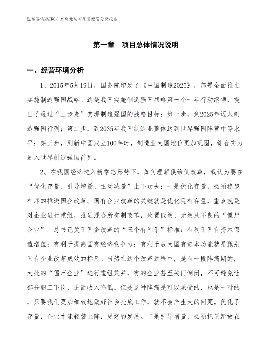 水刺无纺布项目经营分析报告_第1页