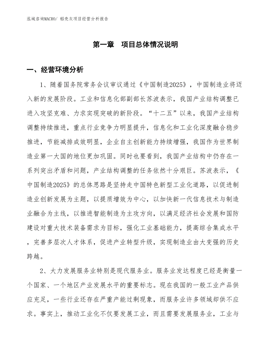 稻壳灰项目经营分析报告_第1页