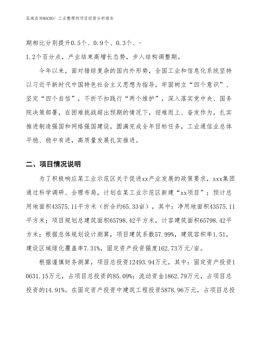 工业整理剂项目经营分析报告_第2页