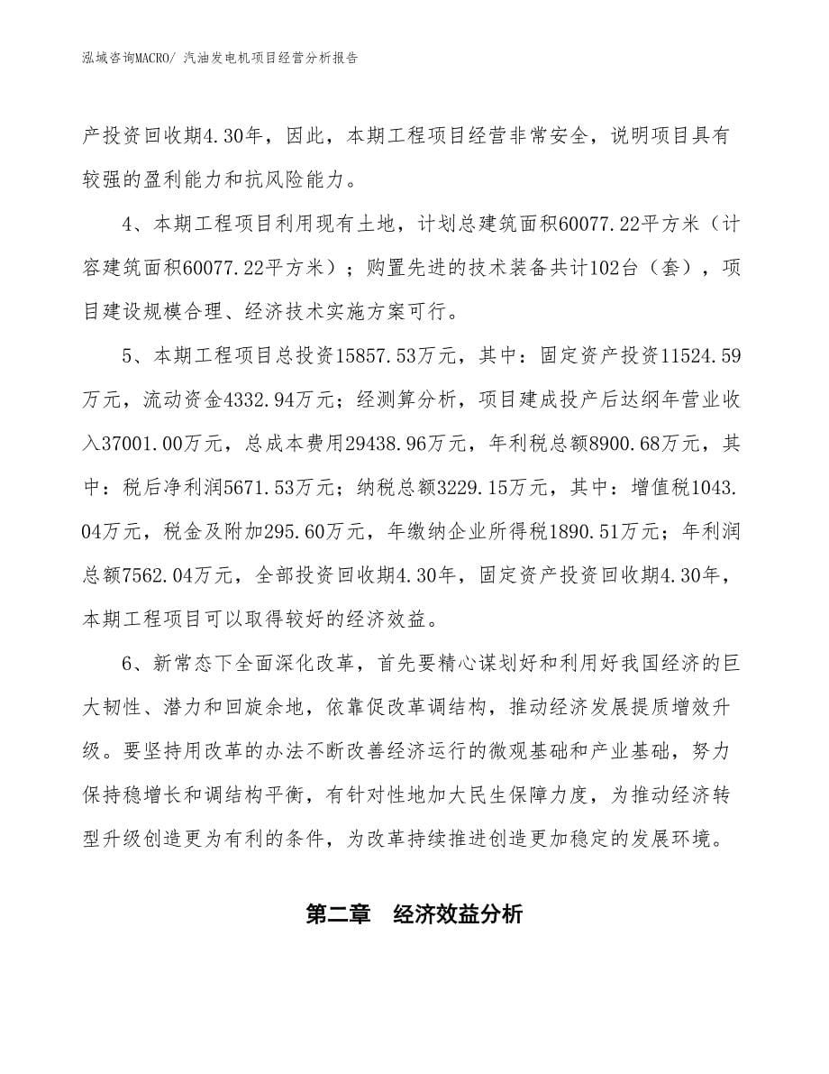 汽油发电机项目经营分析报告_第5页