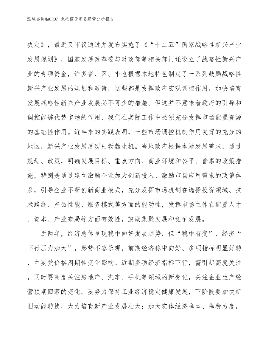 兔毛帽子项目经营分析报告_第2页