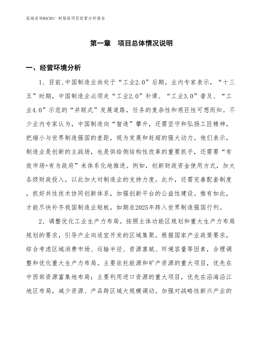 树脂版项目经营分析报告_第1页