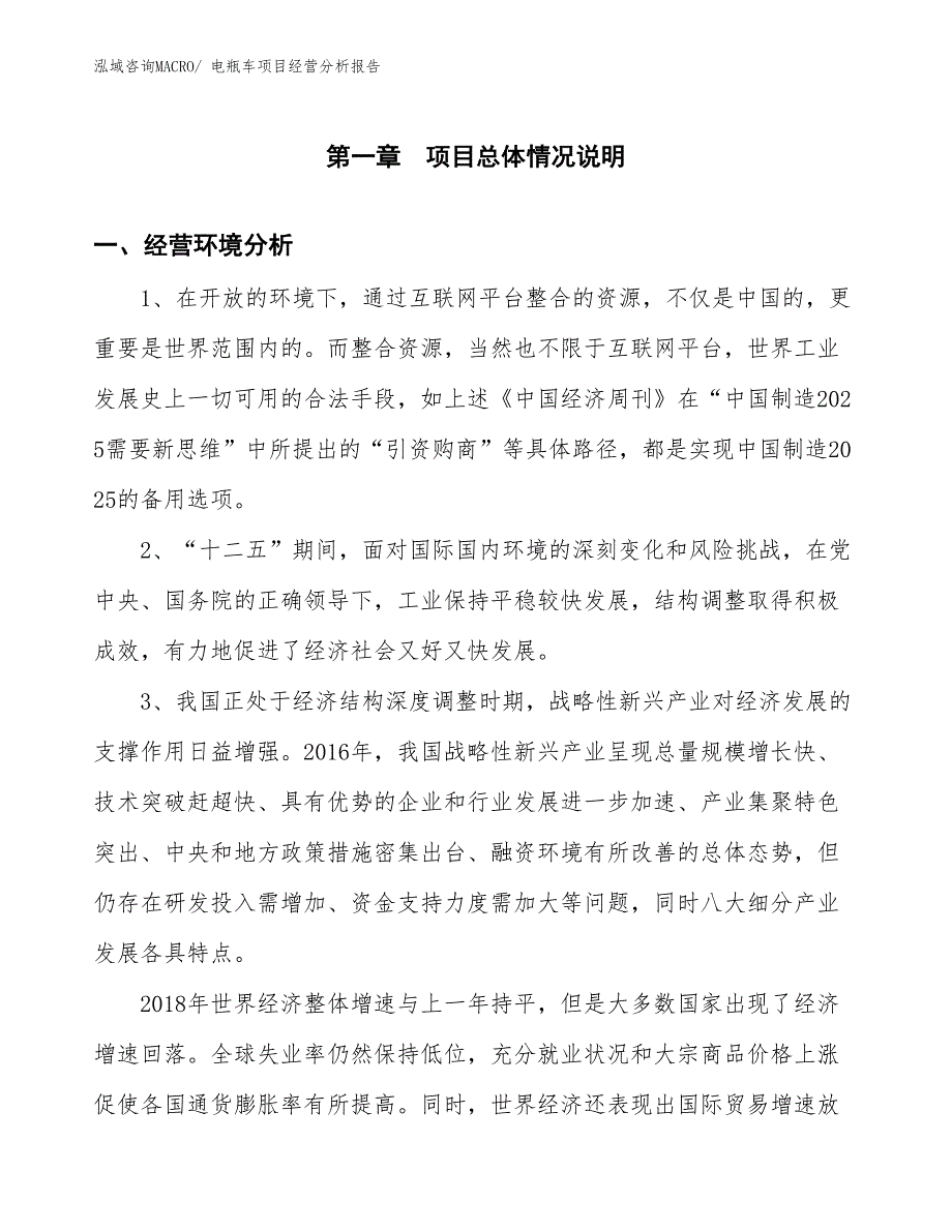 电瓶车项目经营分析报告_第1页