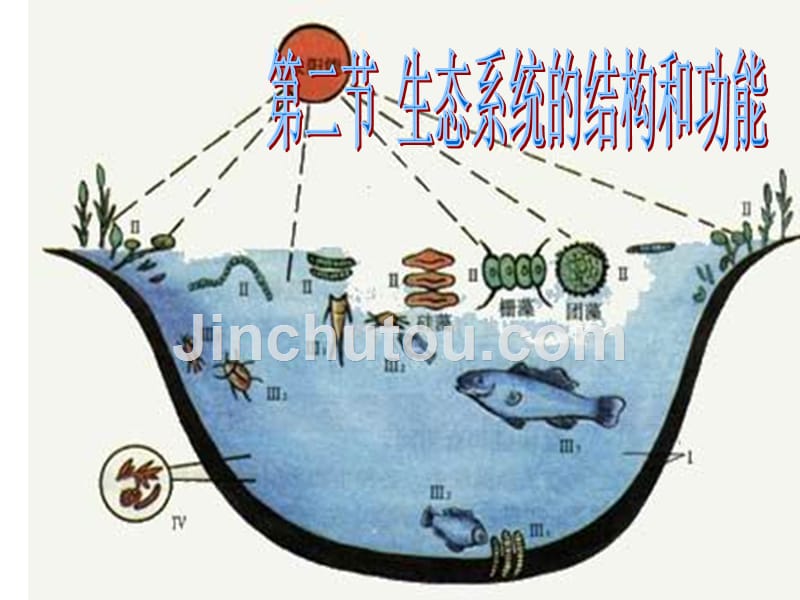 生物北师大版八年级下8.23.2生态系统的结构和功能课件.ppt_第1页