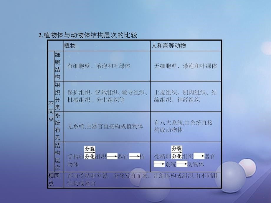 2018-2019学年七年级生物上册2.2.3植物体的结构层次课件(新版)新人教版_第5页