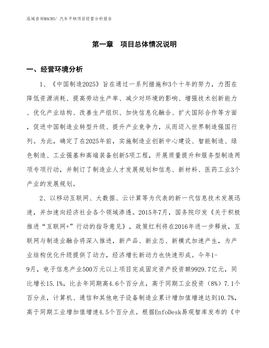 汽车平柄项目经营分析报告_第1页