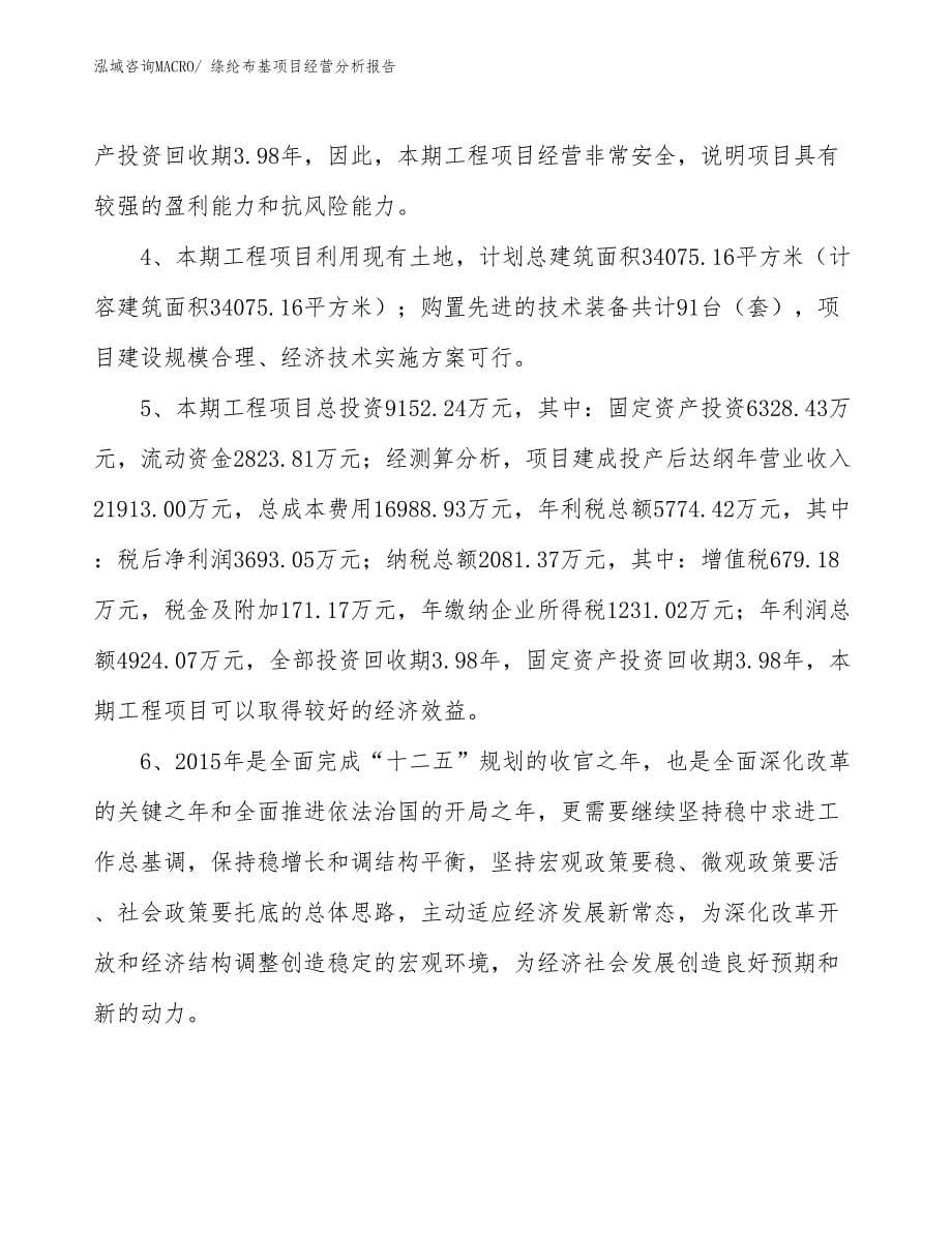 绦纶布基项目经营分析报告_第5页