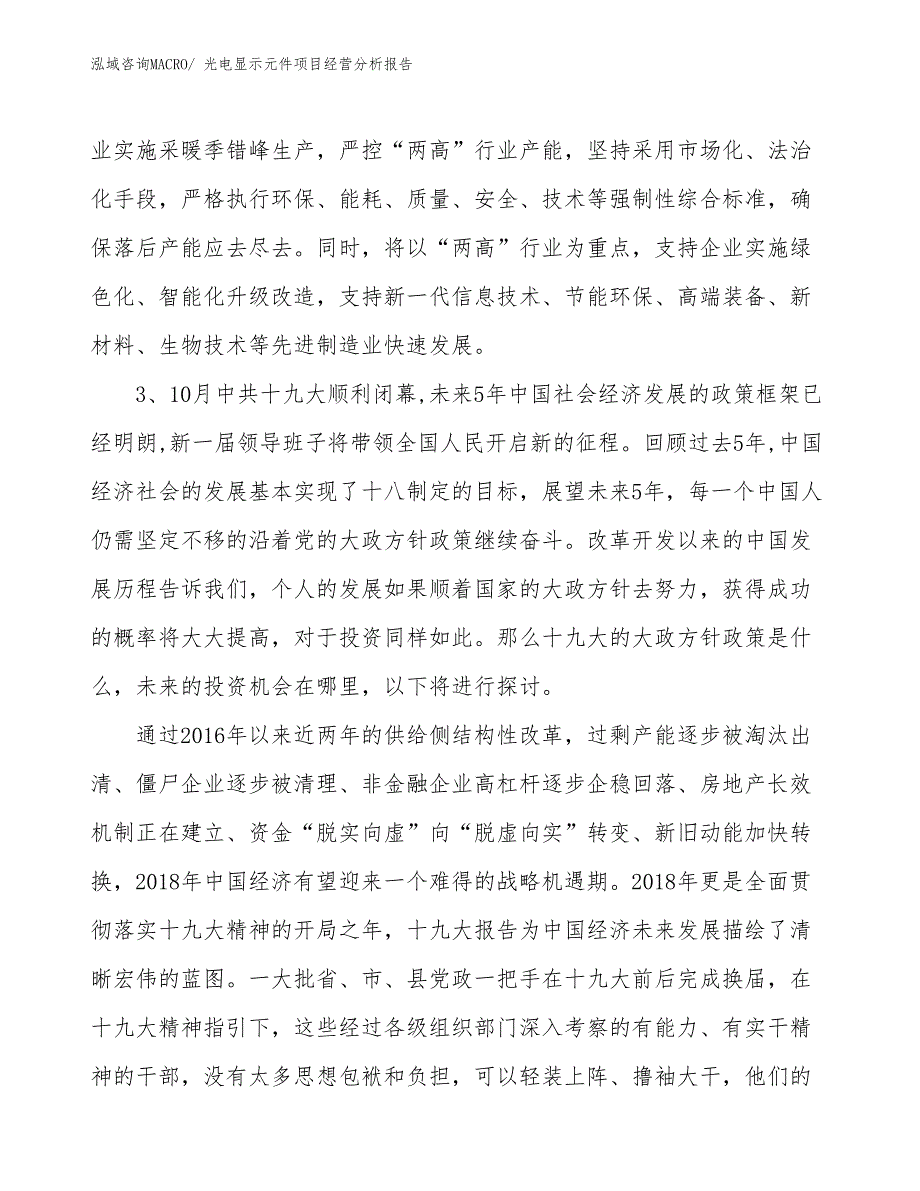 光电显示元件项目经营分析报告_第2页