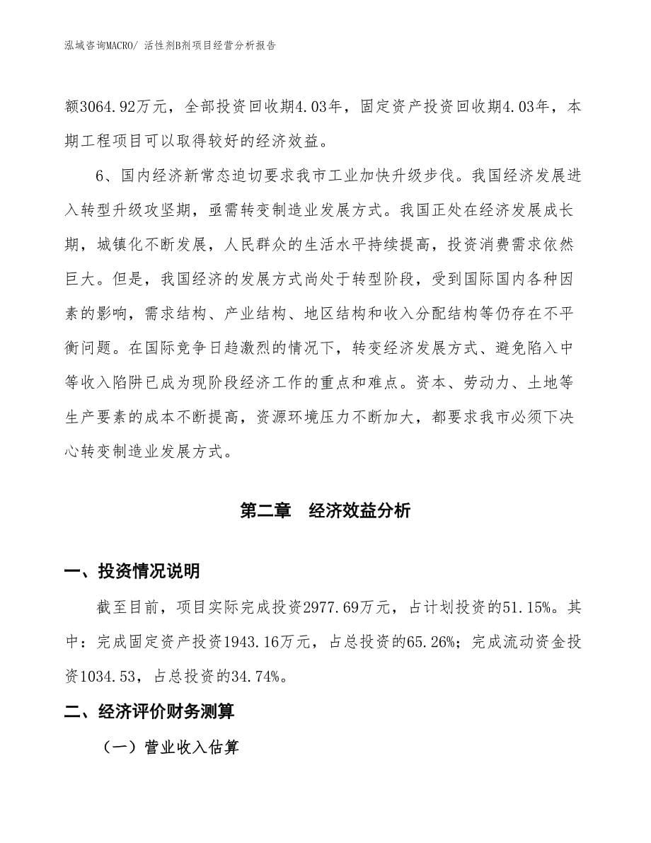 活性剂B剂项目经营分析报告_第5页