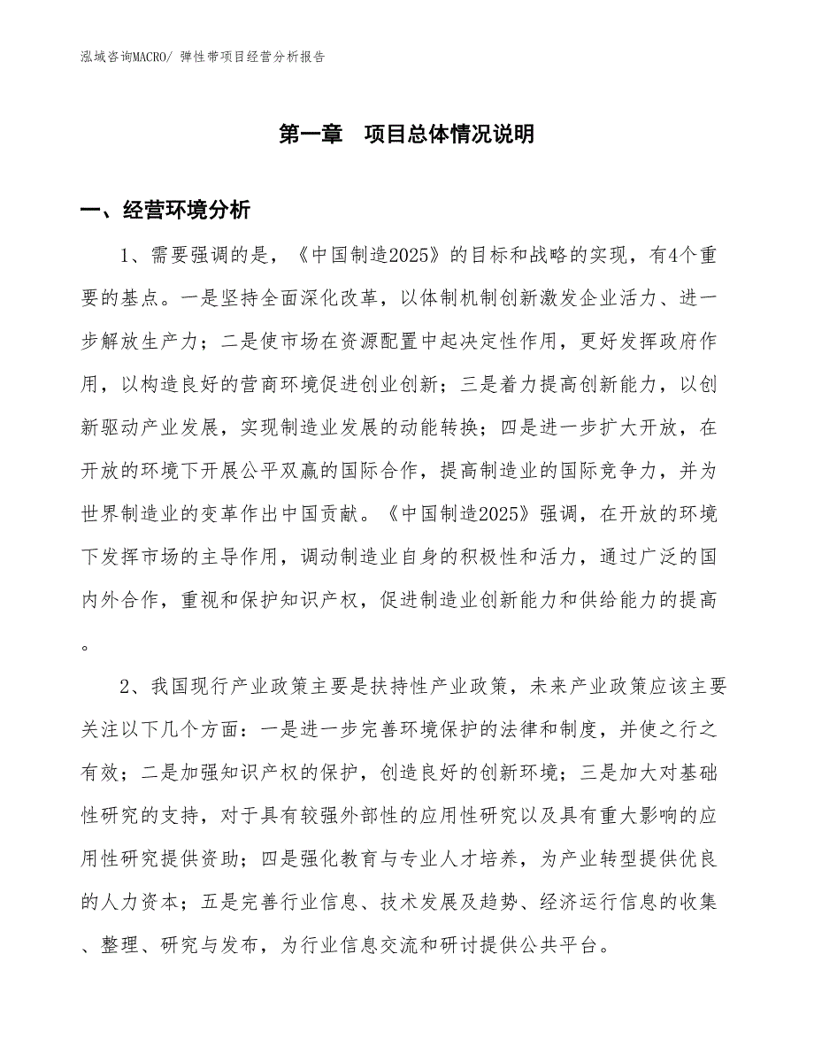 弹性带项目经营分析报告_第1页