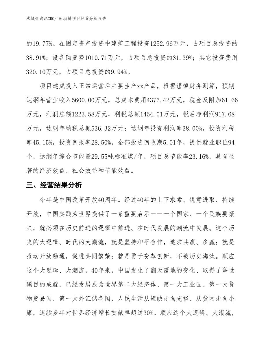 驱动桥项目经营分析报告_第3页