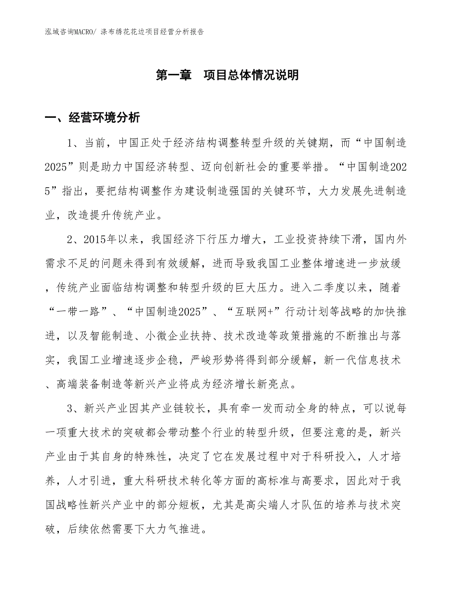 涤布绣花花边项目经营分析报告_第1页