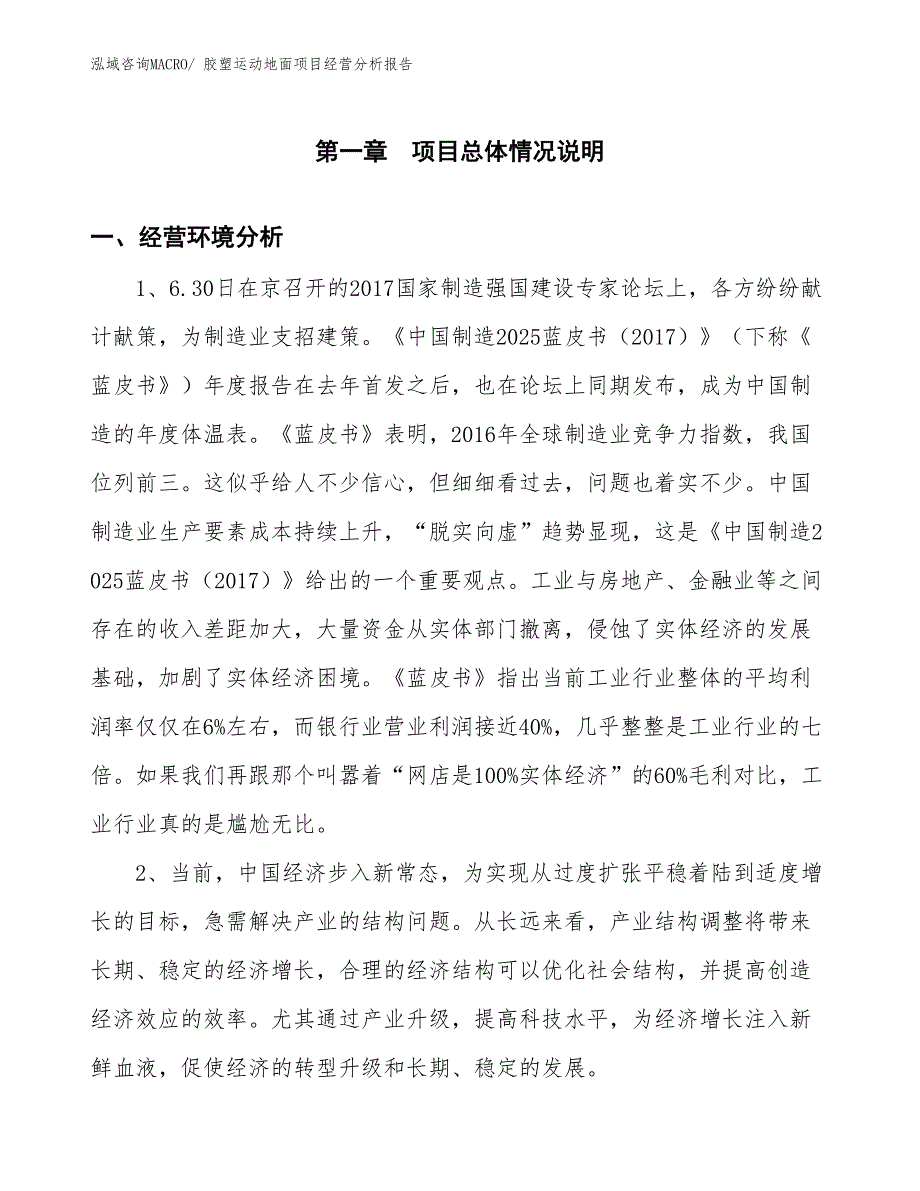 胶塑运动地面项目经营分析报告_第1页