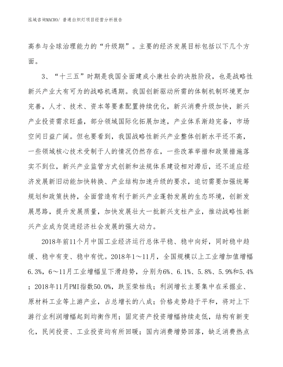 普通白炽灯项目经营分析报告_第2页