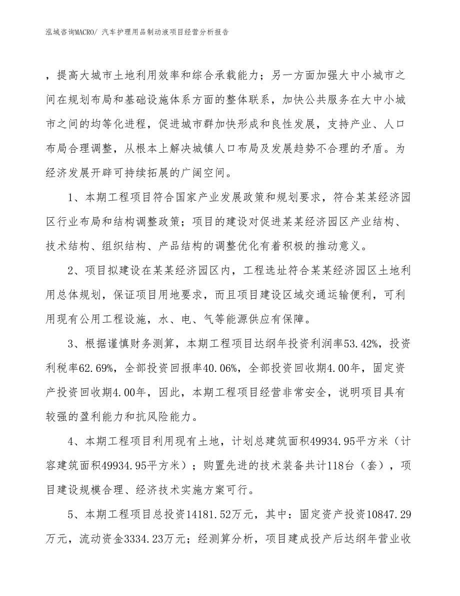 汽车护理用品制动液项目经营分析报告_第5页