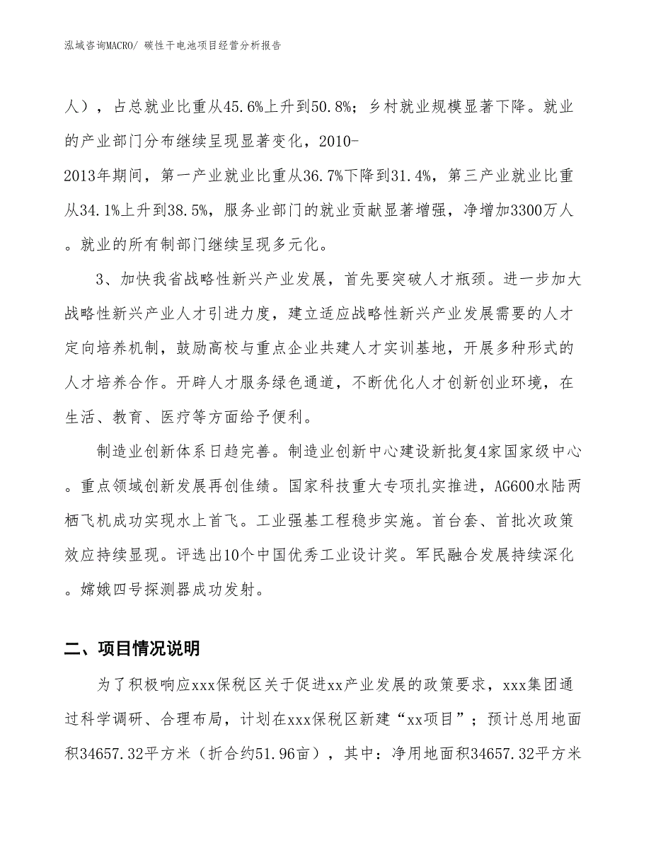 碳性干电池项目经营分析报告_第2页