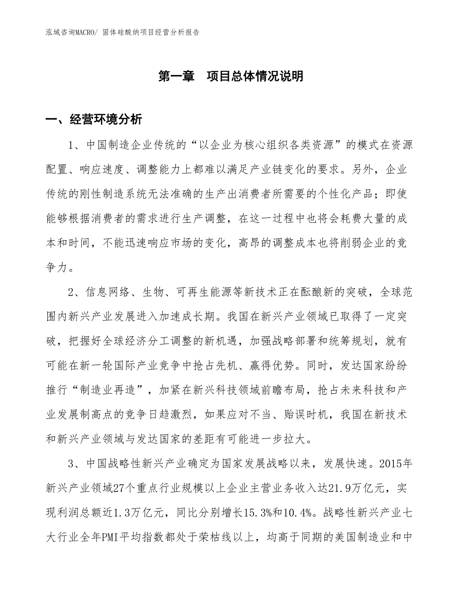 固体硅酸纳项目经营分析报告_第1页