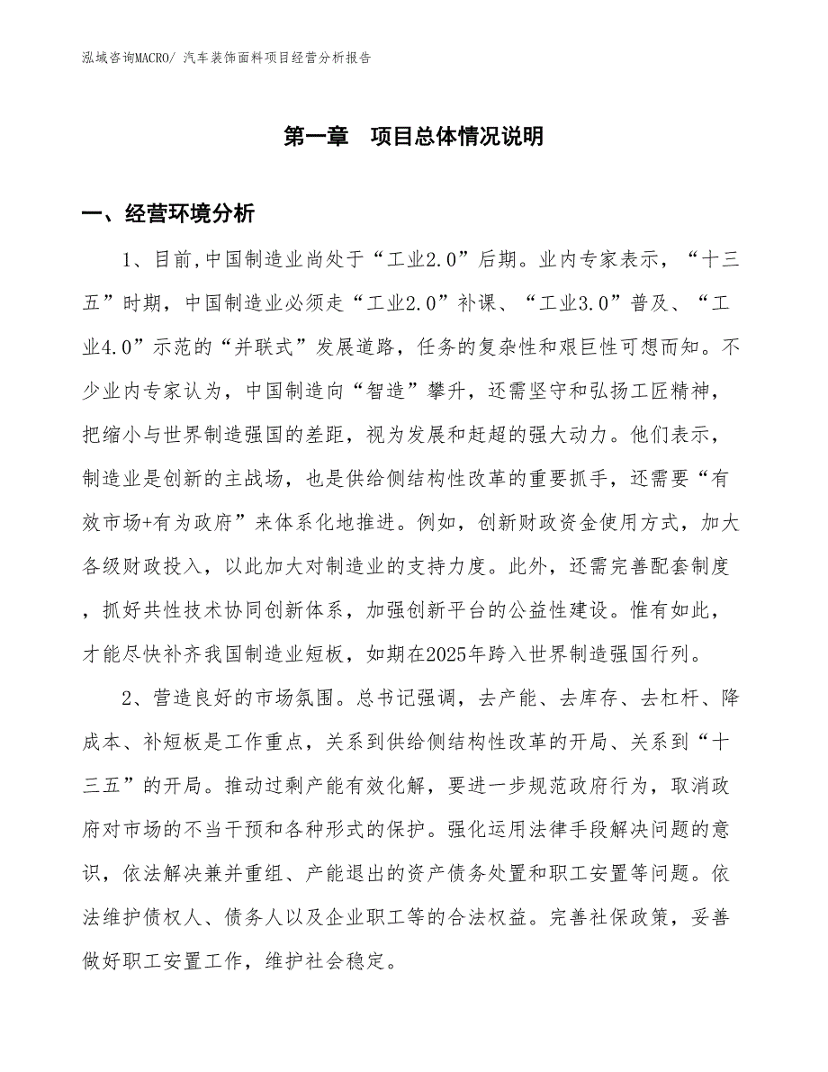 汽车装饰面料项目经营分析报告_第1页