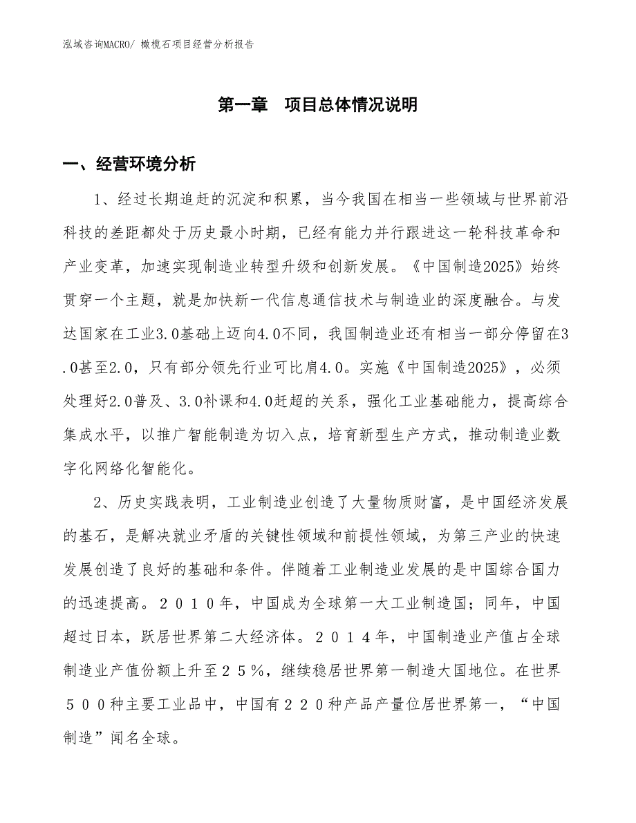 橄榄石项目经营分析报告_第1页