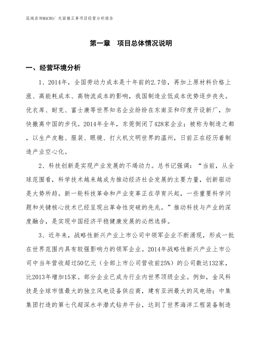 光面猪正革项目经营分析报告_第1页