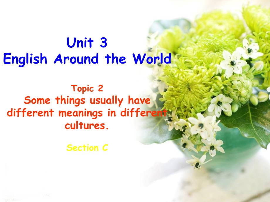 Unit 3 English around the WordTopic 2 Some things usually have different meanings in different Section C（共21张PPT）课件 仁爱湘教版九年级上册.ppt_第1页