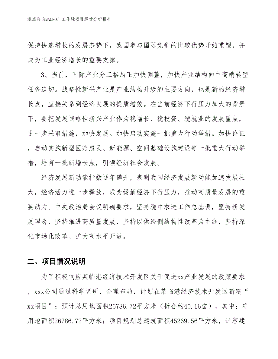 工作靴项目经营分析报告_第2页