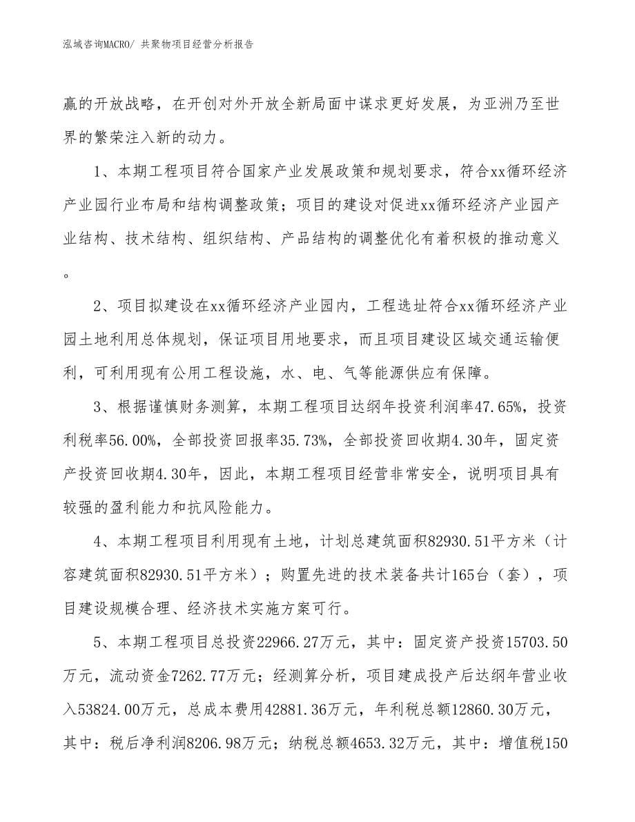 共聚物项目经营分析报告_第5页