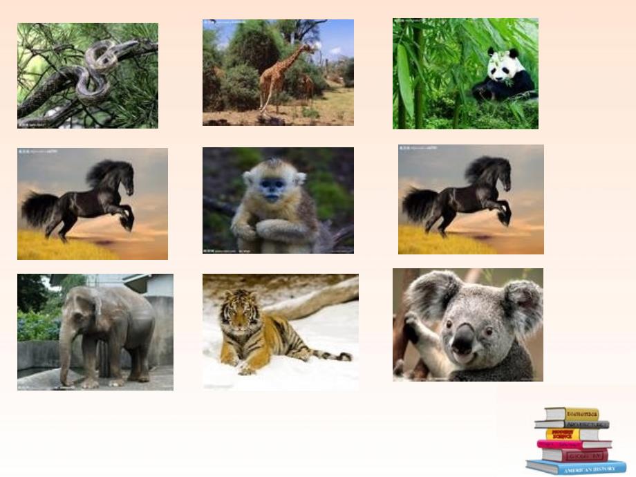 Unit 4 Our World Topic 1 Plants and animals are important to us. Section C 课件 (仁爱版八年级上).ppt_第2页