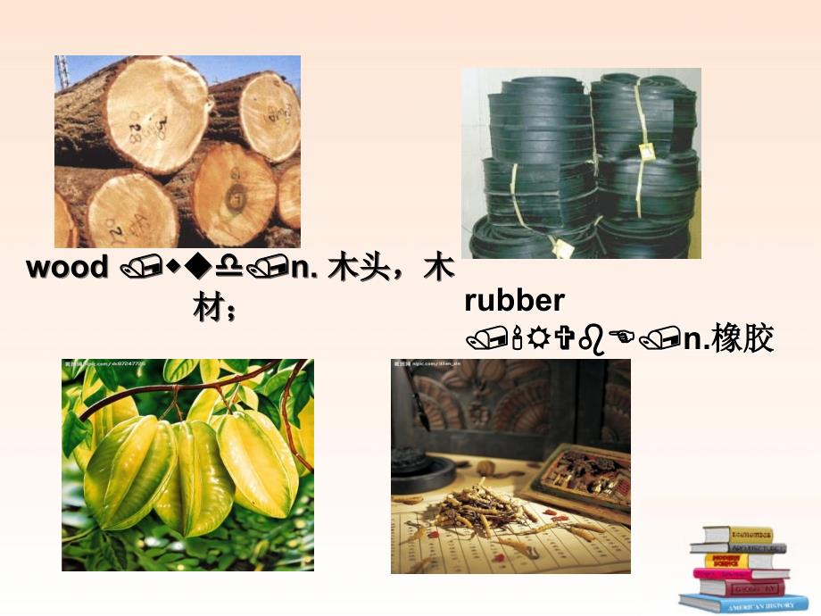 Unit 4 Our World Topic 1 Plants and animals are important to us. Section C 课件 (仁爱版八年级上).ppt_第4页