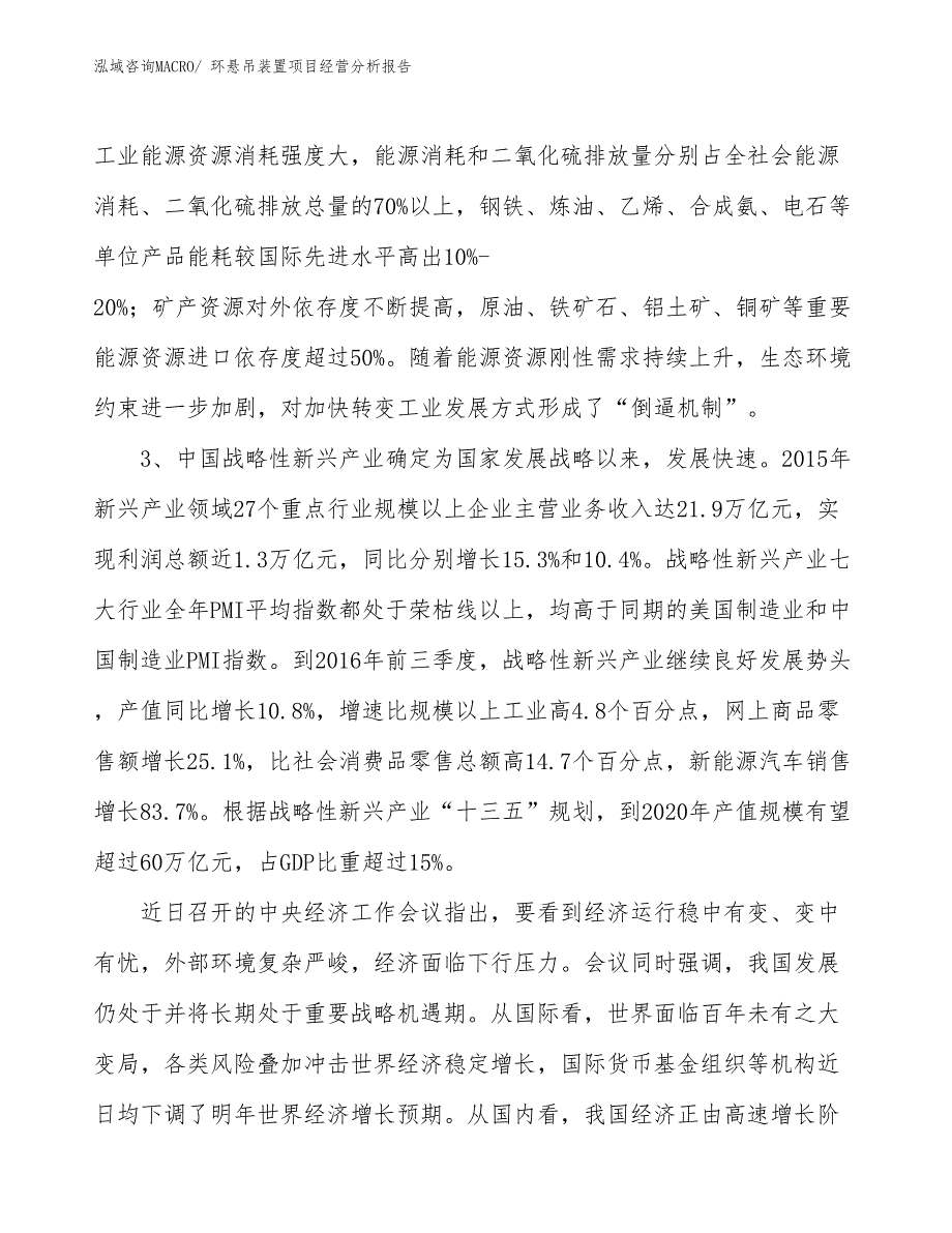 环悬吊装置项目经营分析报告_第2页