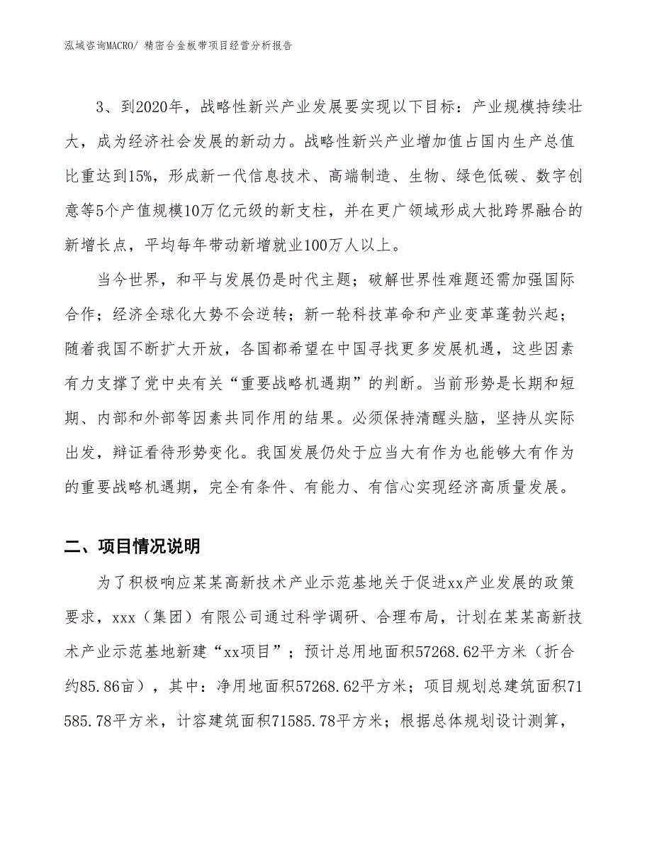 精密合金板带项目经营分析报告_第3页