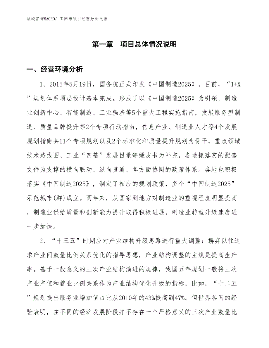 工网布项目经营分析报告_第1页