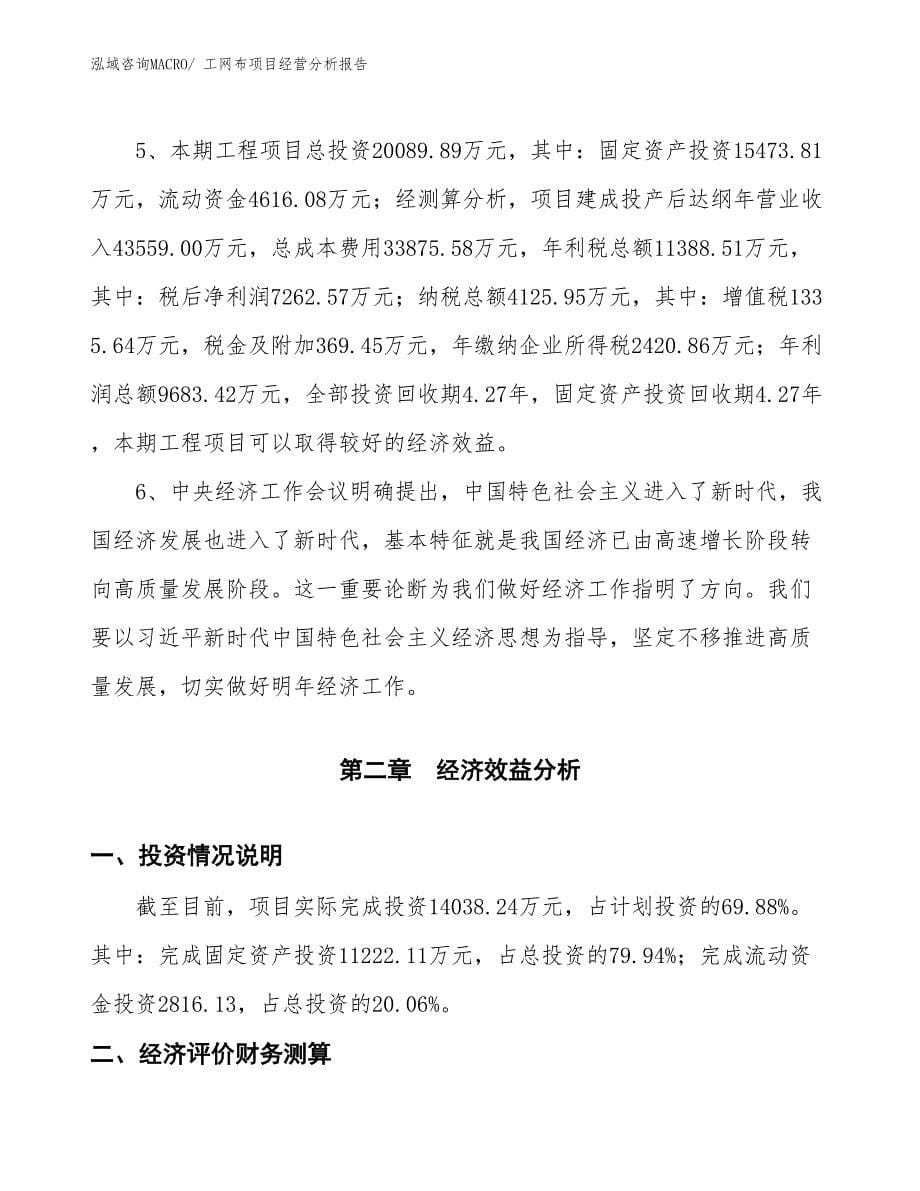 工网布项目经营分析报告_第5页