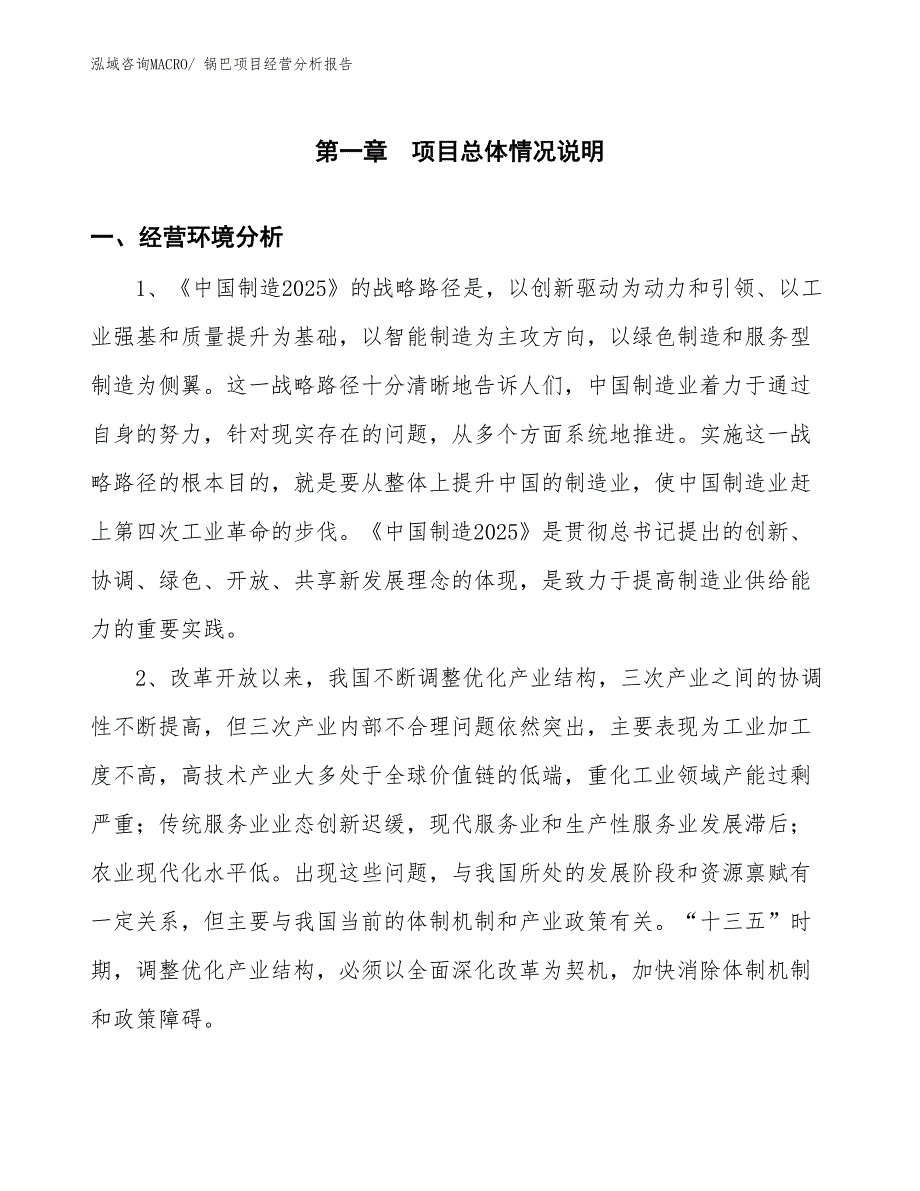 锅巴项目经营分析报告_第1页