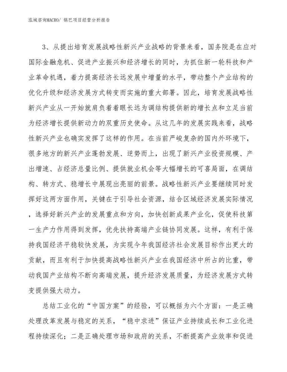 锅巴项目经营分析报告_第2页
