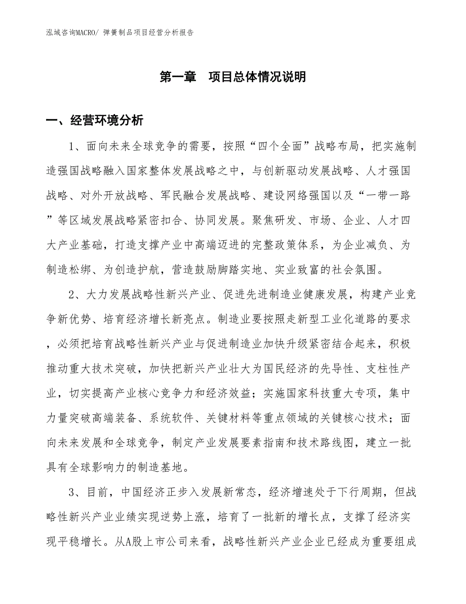 弹簧制品项目经营分析报告_第1页