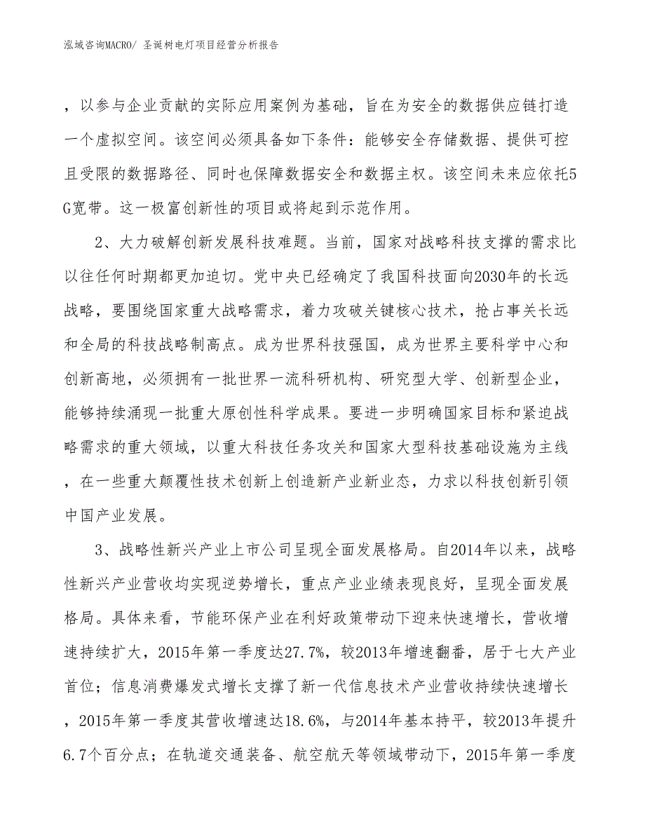 圣诞树电灯项目经营分析报告_第2页