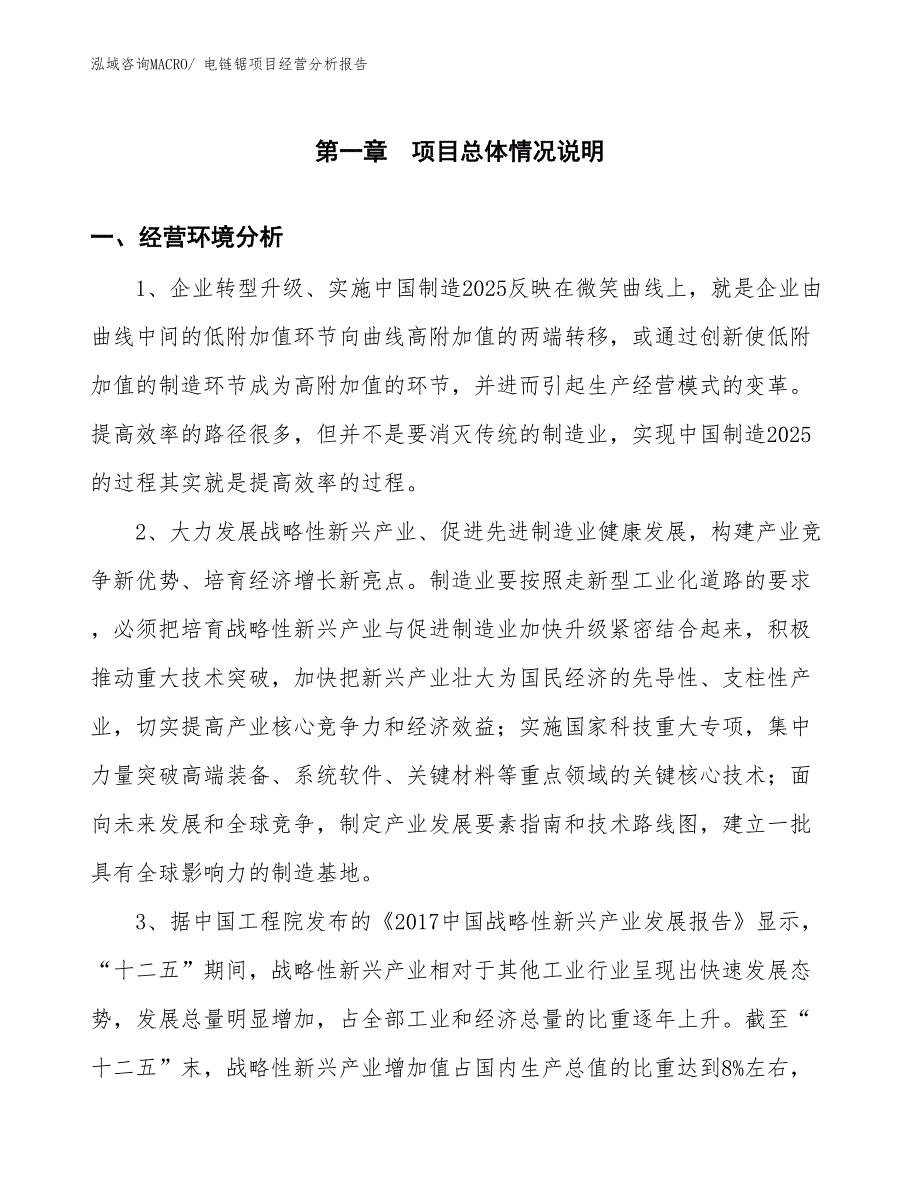 电链锯项目经营分析报告_第1页