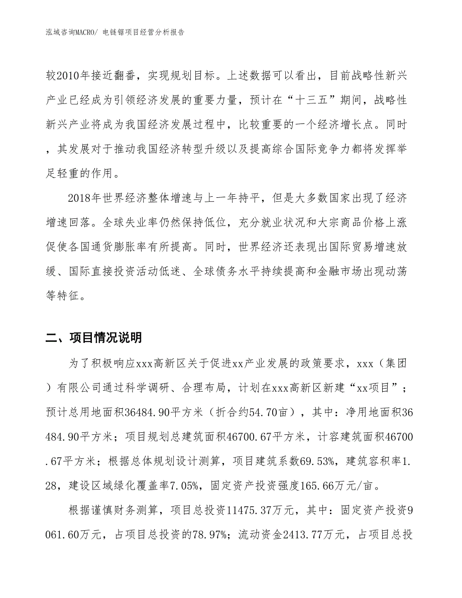 电链锯项目经营分析报告_第2页