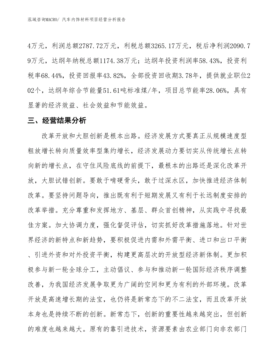 汽车内饰材料项目经营分析报告_第3页