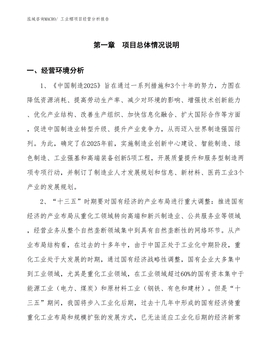 工业帽项目经营分析报告_第1页