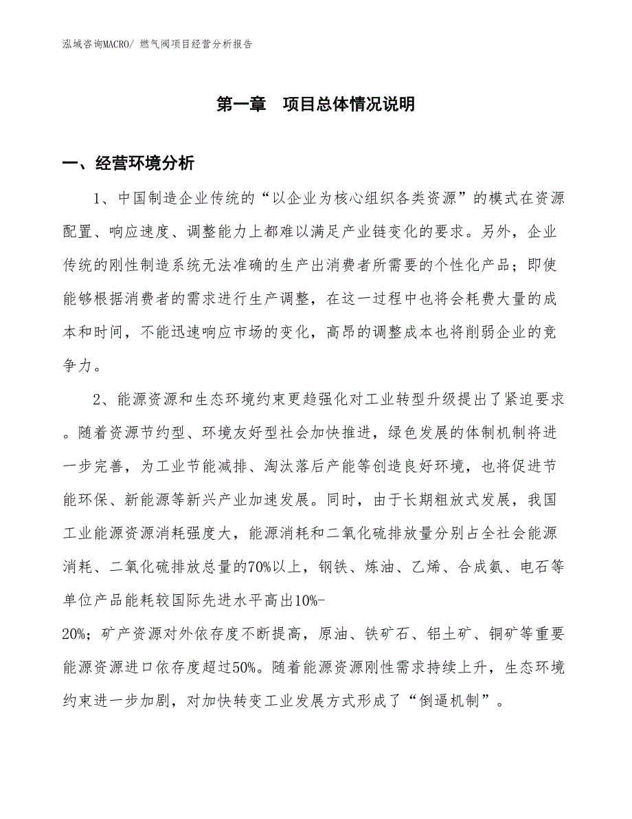 燃气阀项目经营分析报告_第1页